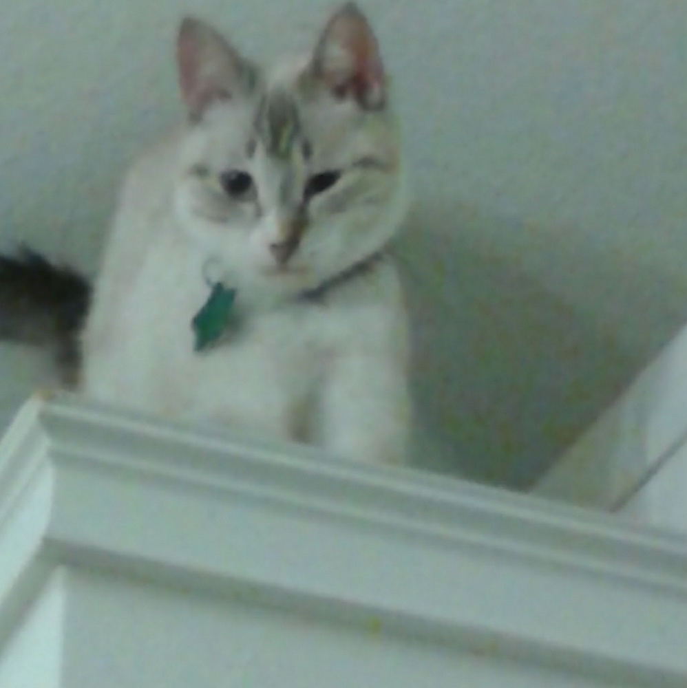 Meet your Posher, Nadia